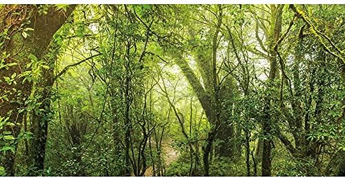 Awert adâncă pădure terariu fundal de pădure tropicală acvariu fundal soare ceggy copaci uriași reptile habitat fundal 24x12