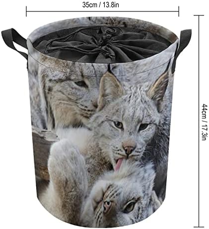 Canadian Lynx Clean Time 42L coș rotund de rufe haine pliabile împiedică cu șnur de sus