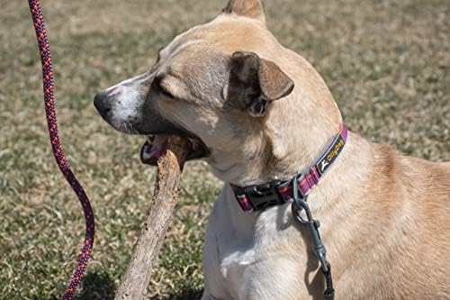 Ollydog reglabil captusit harnașă pentru câini și frânghii, harnașă alpină și mănunchi de lesă de munte