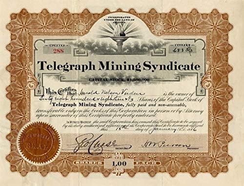Telegraph Mining Syndicate-Certificat De Stoc
