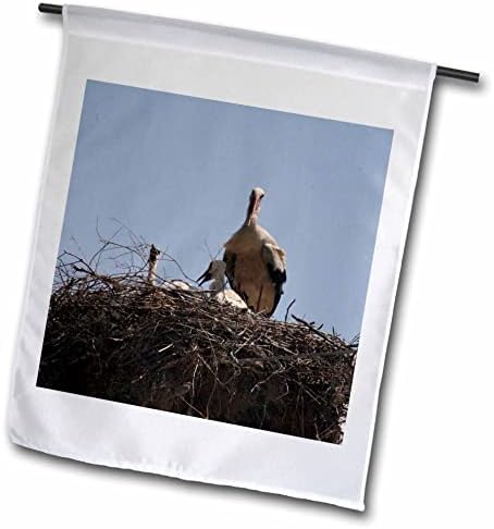 3Drose She Stork și Fughling Baby Storks Fotografia - steaguri