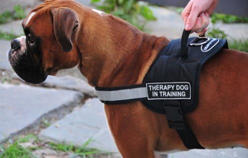 DT Works Harness, Terapia câine în antrenament, alb-negru, mic-se potrivește dimensiunii circumferinței: 25-inch până la 34-inch