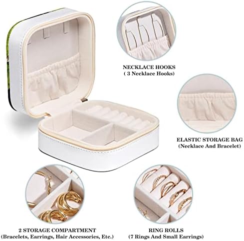 Rodailycay cu cutie de bijuterii mici Organizator de depozitare a inelului, cu capacitate mare de călătorii cu bijuterii pentru