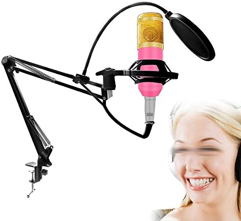 Uxzdx microfon kituri profesionale condensator microfon pachet filtru Mikrofon pentru calculator Laptop Studio înregistrare
