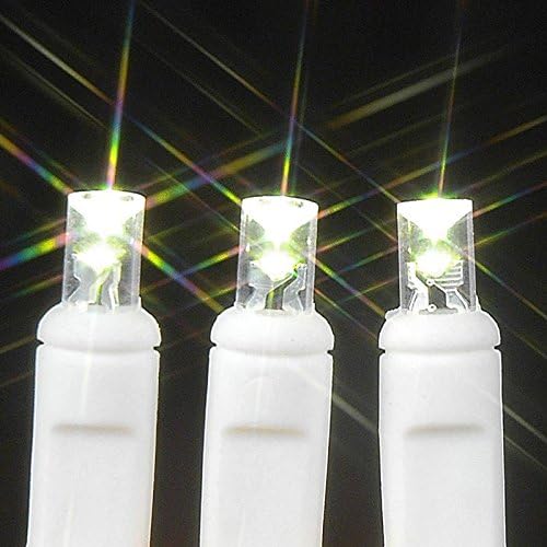 Noumty Lights, Inc. BAT20 LED -uri cu LED -uri cu LED -uri Mini Light String Set, alb cald, sârmă albă, 20 de lumină, 8 'lungime