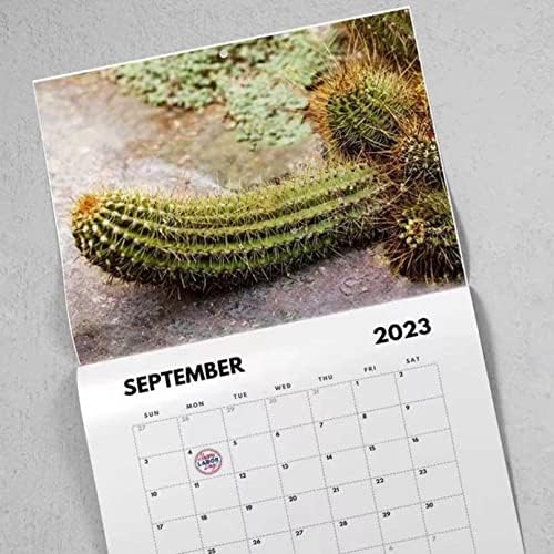 Pimelu 2023 Calendar creativ elegant și interesant Calendar peisaj natural Calendar de perete Calendar Desktop pentru natură